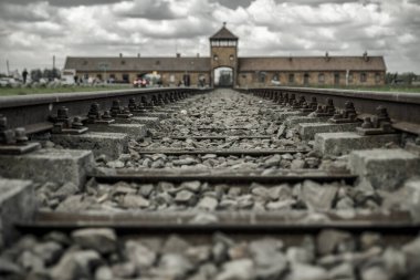 Toplama kampı Auschwitz II - Birkenau, Polonya