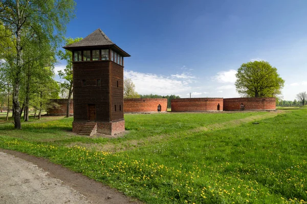 파수대 아우슈비츠 수용소의 폴란드 — 스톡 사진