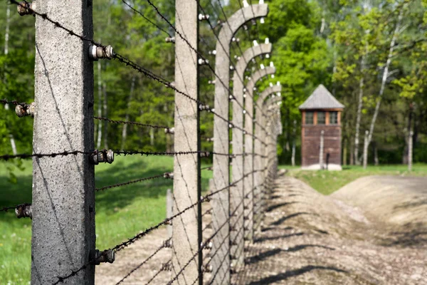 Plot Ostnatého Drátu Koncentračním Táboře Osvětim Birkenau Osvětimi Polsko — Stock fotografie