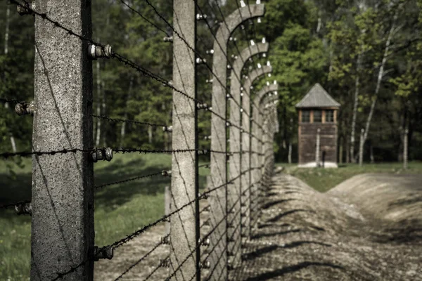 Cerca Arame Farpado Campo Concentração Auschwitz Birkenau Oswiecim Polónia — Fotografia de Stock