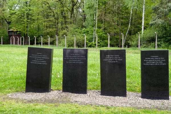 Brzezinka Polska Maj Miejsce Pamięci Obozie Koncentracyjnym Auschwitz Birkenau Maja — Zdjęcie stockowe