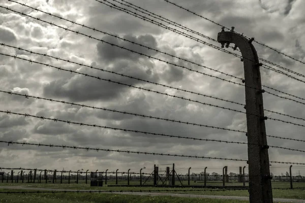 Ostnatý Drát Tmavé Mraky Obloze Koncentrační Tábor Osvětim Birkenau Polsko — Stock fotografie