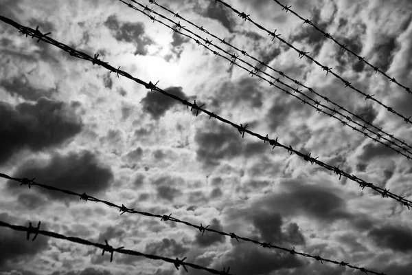 Drut Kolczasty Czarne Chmury Niebie Auschwitz Birkenau — Zdjęcie stockowe