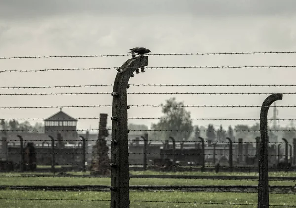 Arame Farpado Nuvens Escuras Céu Campo Concentração Auschwitz Birkenau Polónia — Fotografia de Stock