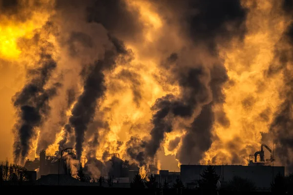 Fumeurs Cheminées Dans Usine Pollution Atmosphérique — Photo