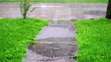 Şehirde yağmurlu bir gün. Arka planda arabalar hareket ediyor.