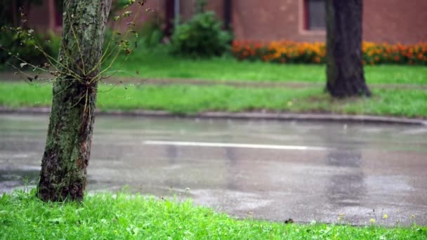 城里下着雨 车辆在湿路上行驶 — 图库视频影像