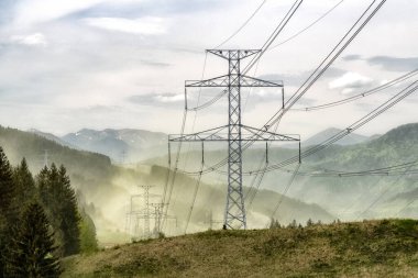 Havada uçan sarı polenler. Alerjik bahar sezonu. polen fırtınası