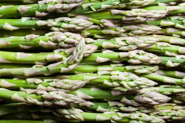 Yeşil ve taze kuşkonmaz