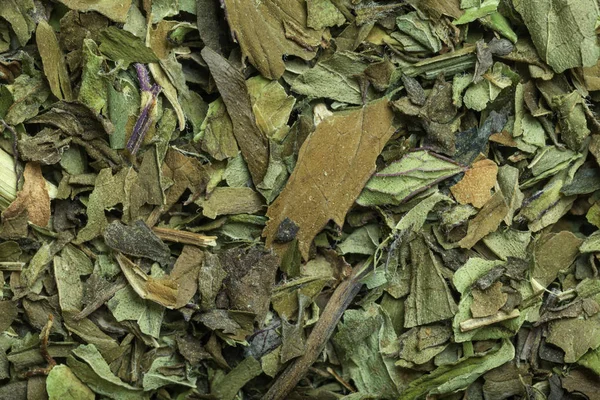 Té de menta en macro — Foto de Stock