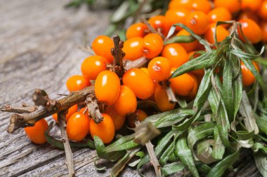 Masanın üzerine taze seabuckthorn