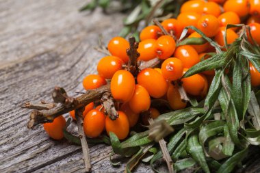 Masanın üzerine taze seabuckthorn