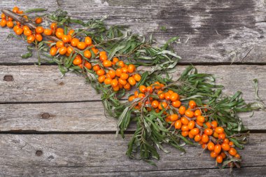 Masanın üzerine taze seabuckthorn