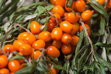 Masanın üzerine taze seabuckthorn