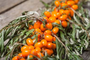 Masanın üzerine taze seabuckthorn
