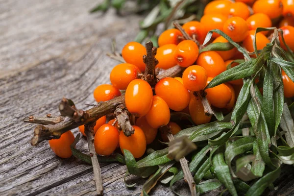 Masanın üzerine taze seabuckthorn