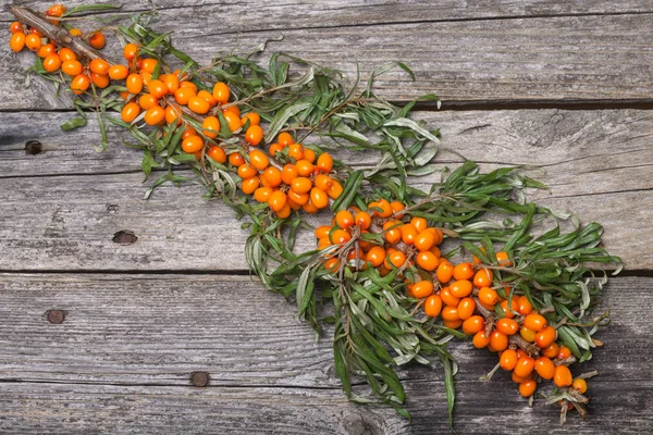 Masanın üzerine taze seabuckthorn