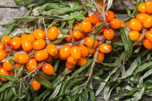 Masanın üzerine taze seabuckthorn