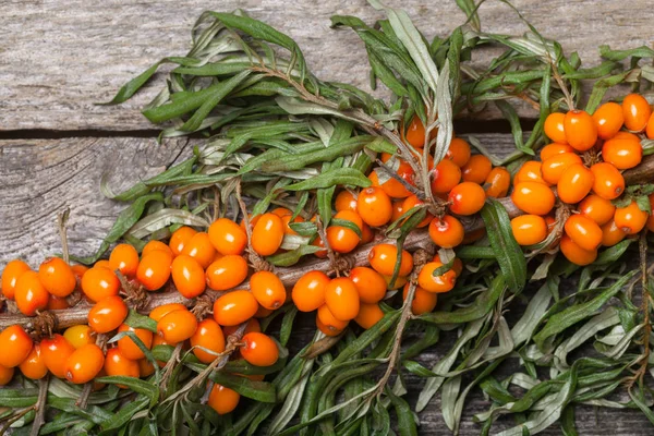 Masanın üzerine taze seabuckthorn