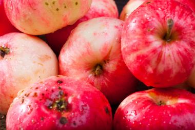 Olgun kırmızı elmalar