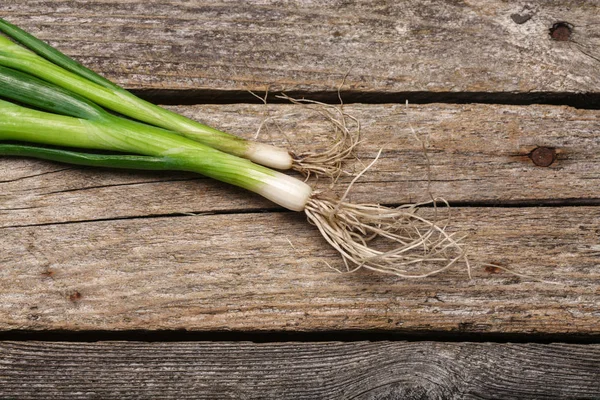 Masanın üzerine taze soğan