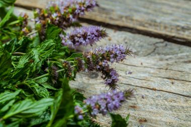 Masanın üzerine nane