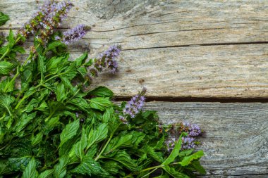 Masanın üzerine nane