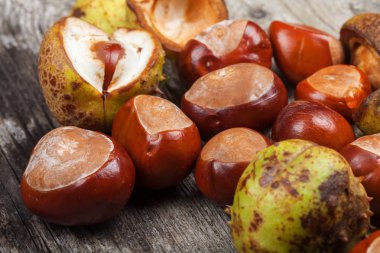 Masanın üzerinde kestane