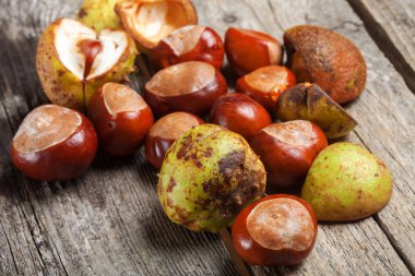 Masanın üzerinde kestane