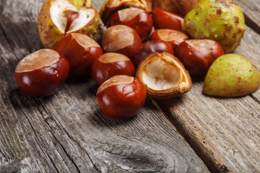 Masanın üzerinde kestane