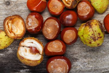 Masanın üzerinde kestane