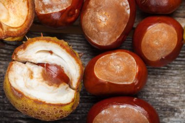 Masanın üzerinde kestane