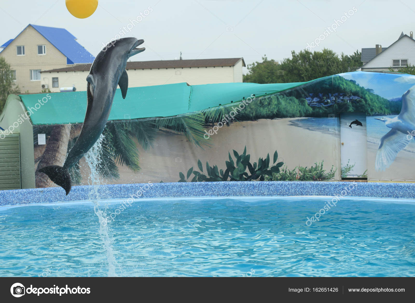 Dolphin paddling sale pool