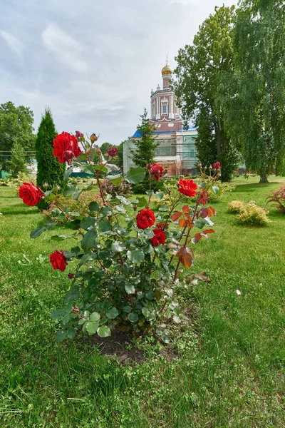 Klasztor Solotchinsky kobiet, Ryazan, Federacja Rosyjska. — Zdjęcie stockowe