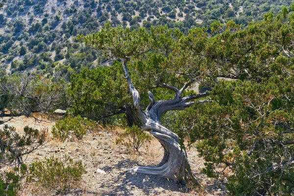 Landscapes of the Crimea Peninsula.