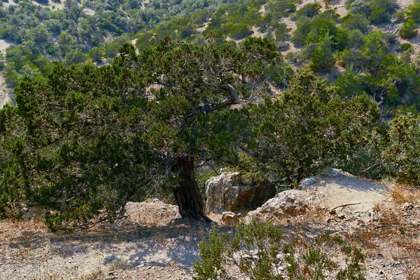 Landscapes of the Crimea Peninsula.