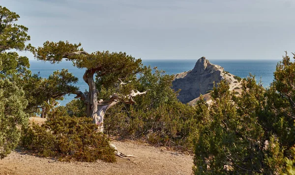 Landscapes of the Crimea Peninsula.