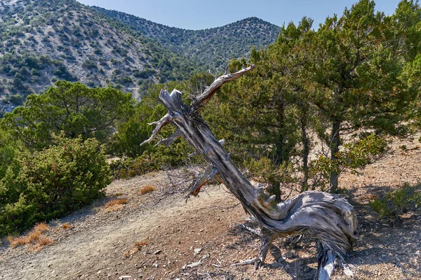 Landscapes of the Crimea Peninsula.