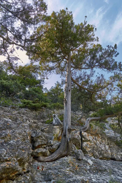 Landscapes of the Crimea Peninsula.