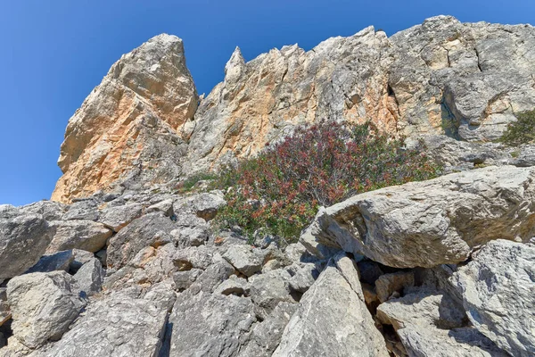 Landschaften der Halbinsel Krim. — Stockfoto