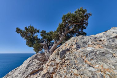 Kırım Yarımadası'nın manzaralar.