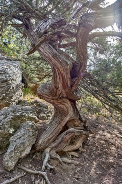 Kırım Yarımadası'nın manzaralar.