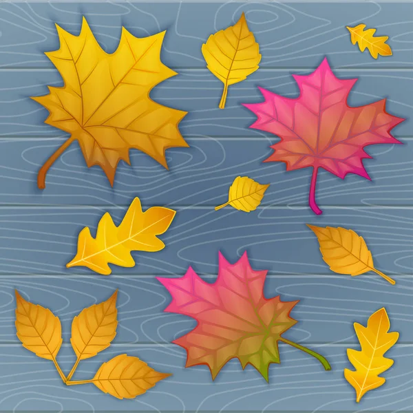 Vector illustration of autumn leaves on wooden blue background. top view — Stock Vector