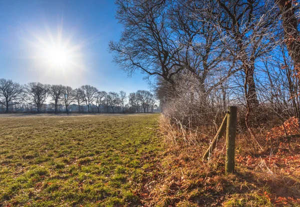 Campagne Hiver Lever du Soleil — Photo