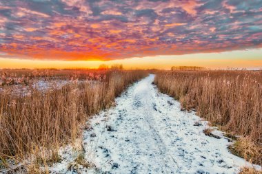 Kış manzara yolu marsh ile