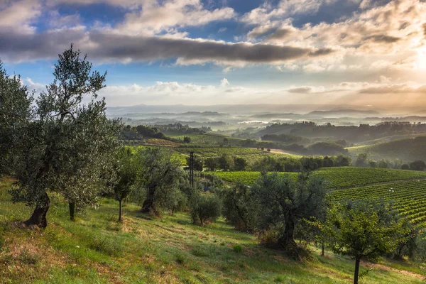 Landschaft am frühen Morgen in der Toskana — Stockfoto