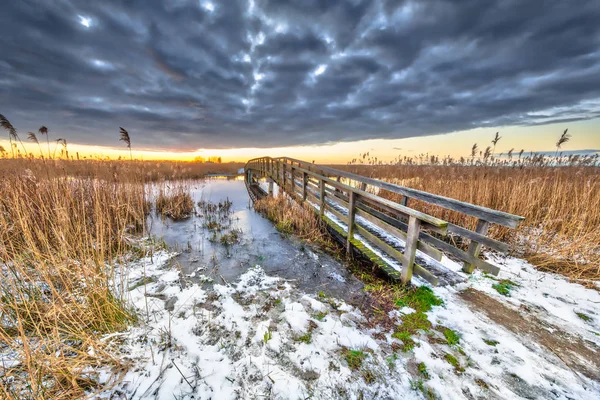 Houten brug in het besneeuwde winterlandschap lopen — Stockfoto