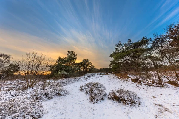 Winterlandschaft mit dünner Schneeschicht — Stockfoto