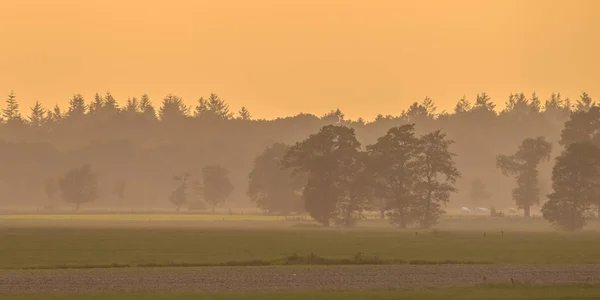 Peaceful agricultural  landscape with trees and meadows — Stock Photo, Image