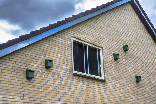 Vogel huis nesten vakken voor huismus op een gebouw in urba — Stockfoto